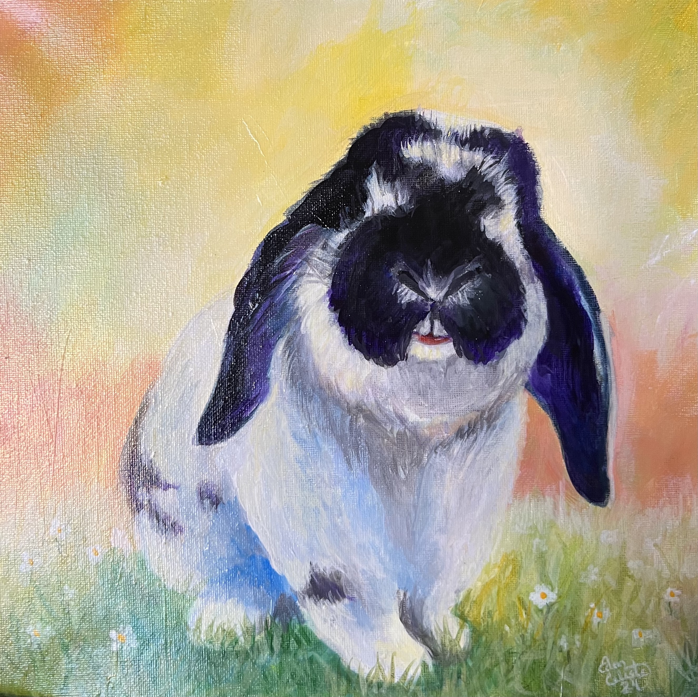 Bucky Buns