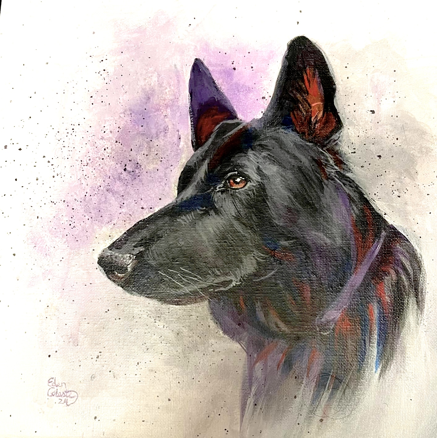 Sheba Dog Black German Shephard Dog named Sheba