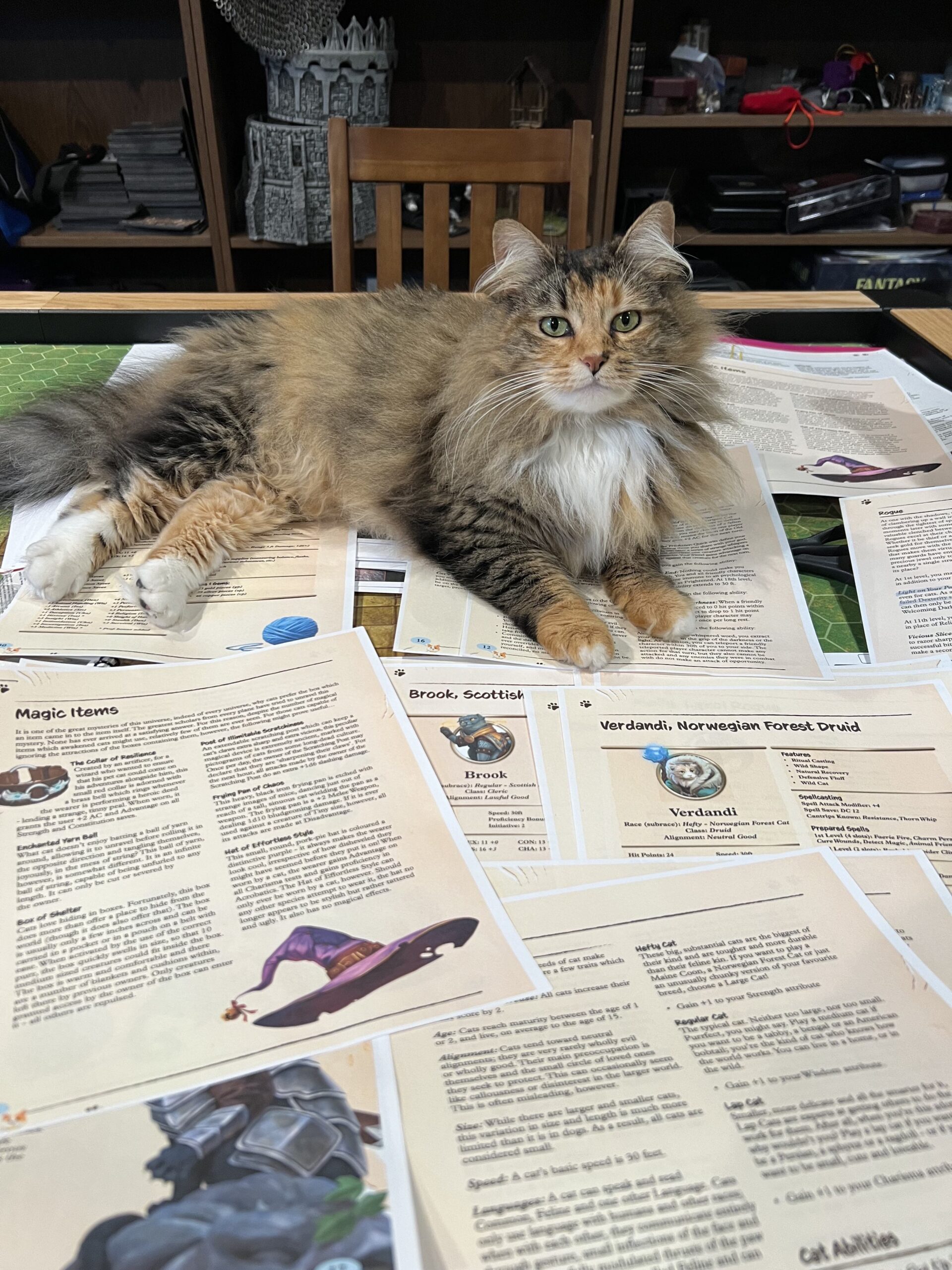 fluffy helper